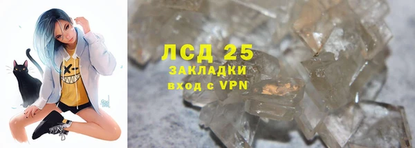 спиды Верея