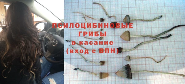 спиды Верея
